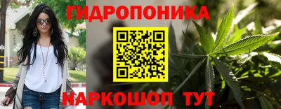 индика Аргун