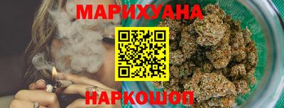 индика Аргун