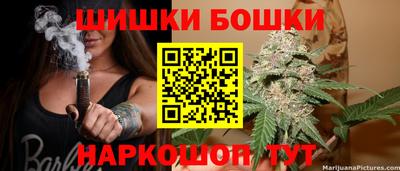 индика Аргун