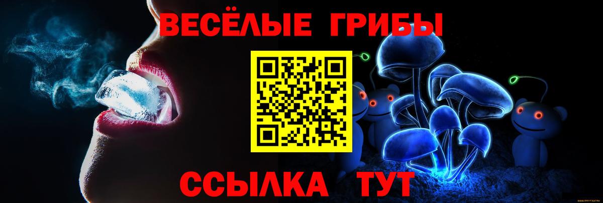 Балаково  Псилоцибиновые грибы MAGIC MUSHROOMS  сколько стоит  Вход с VPN 